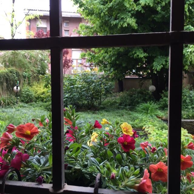 Cosy Studio Historical Center 크레모나 외부 사진